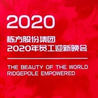 新棟能?美世界丨棟方股份集團(tuán)2020年千人家宴暨員工迎新晚會(huì)盛大舉行