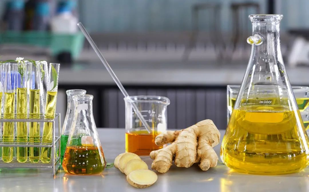 棟方股份榮獲2021年廣東省科技進(jìn)步獎(jiǎng)，科研創(chuàng)新實(shí)力再獲認(rèn)可！