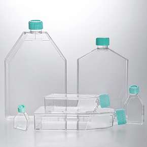 細(xì)胞培養(yǎng)瓶,塑料細(xì)胞培養(yǎng)瓶,透明細(xì)胞培養(yǎng)瓶