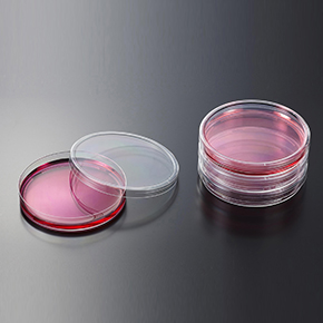 一次性細(xì)菌培養(yǎng)皿,細(xì)菌培養(yǎng)皿,平板