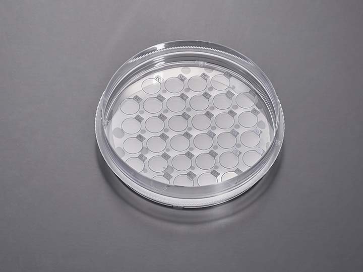 內(nèi)頁(yè)720×540 拷貝.jpg