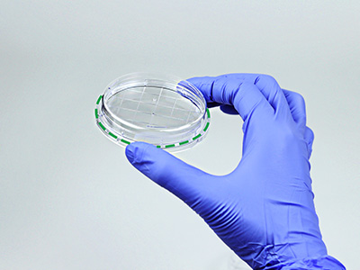 皿底抬高與邊緣持握設(shè)計(jì)， 方便握取與操作，穩(wěn)定疊放不易倒